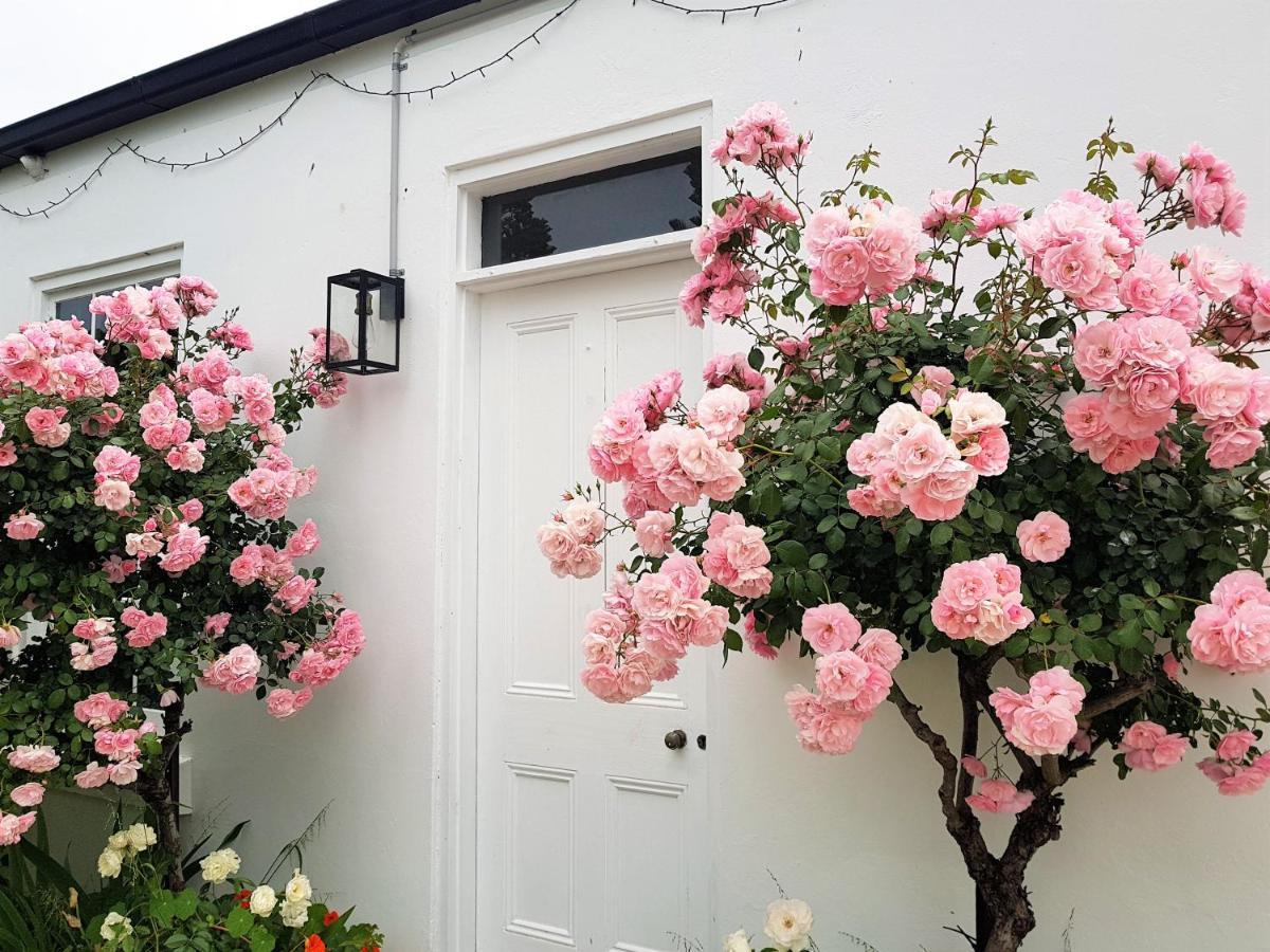 Clonmara Country House And Cottages Port Fairy Zewnętrze zdjęcie