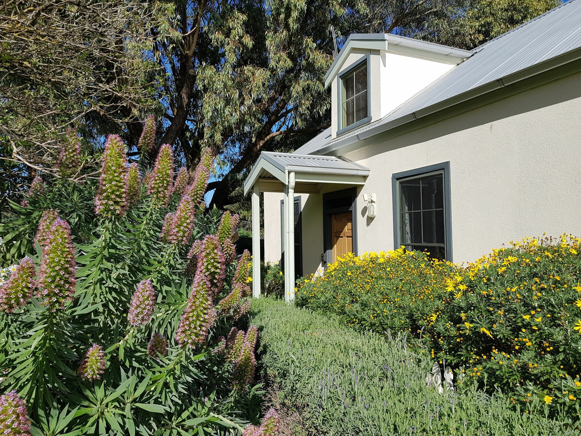Clonmara Country House And Cottages Port Fairy Zewnętrze zdjęcie