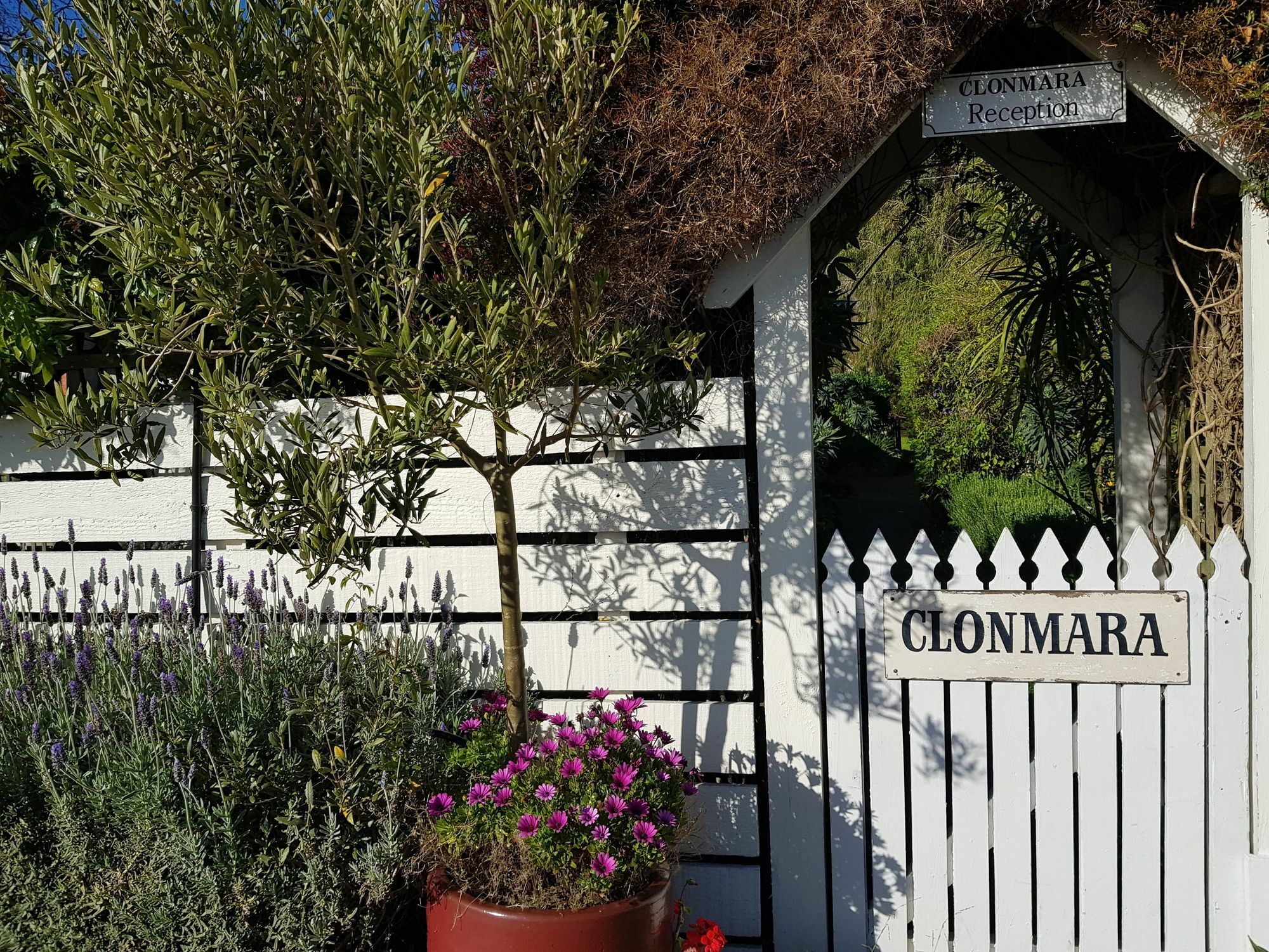 Clonmara Country House And Cottages Port Fairy Zewnętrze zdjęcie
